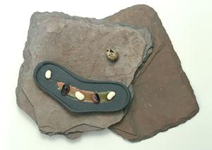 プリザーブドフラワーを東京で買おう